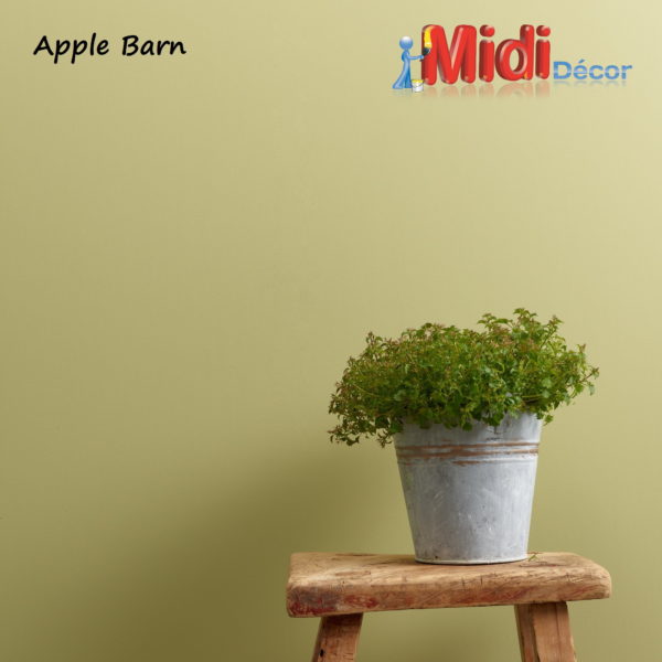 Chalk Wall Paint Sample - Apple Barn