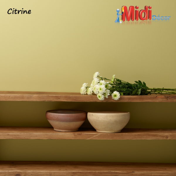 Chalk Wall Paint - Citrine