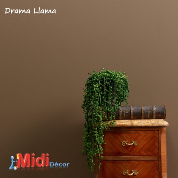 Chalk Wall Paint - Drama Lama