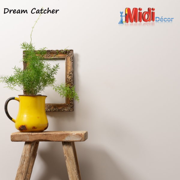 Chalk Wall Paint - Dream Catcher