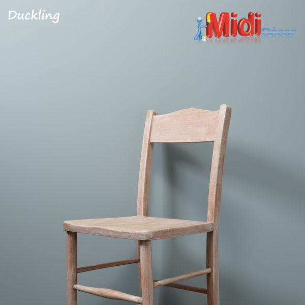 Chalk Wall Paint - Duckling