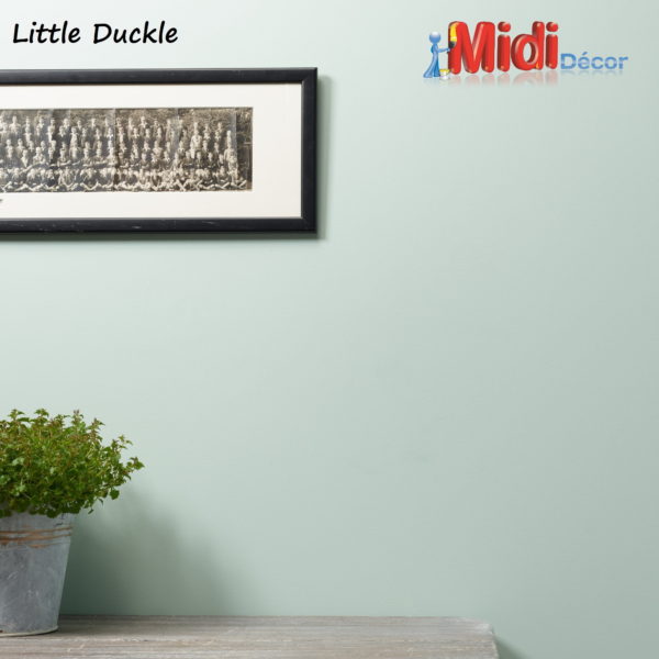 Chalk Wall Paint - Little Duckle