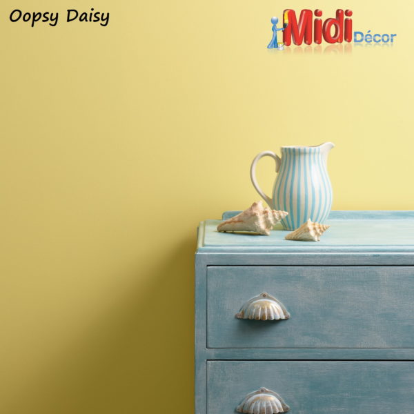 OopsyDaisyWallPaint Sample